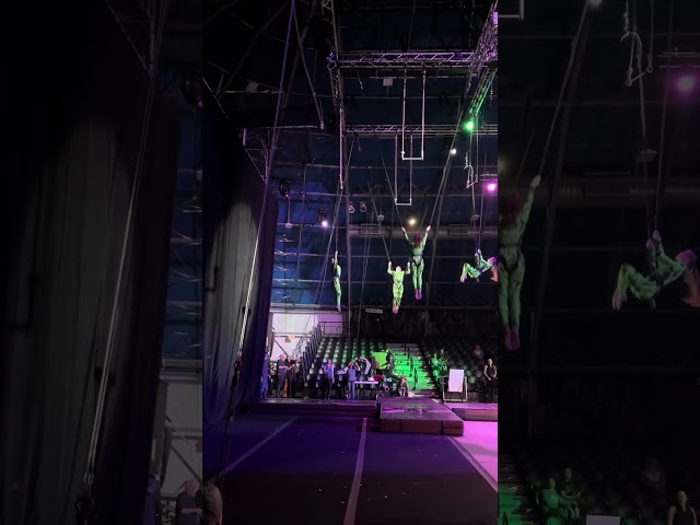Bungee Trapeze ‘24