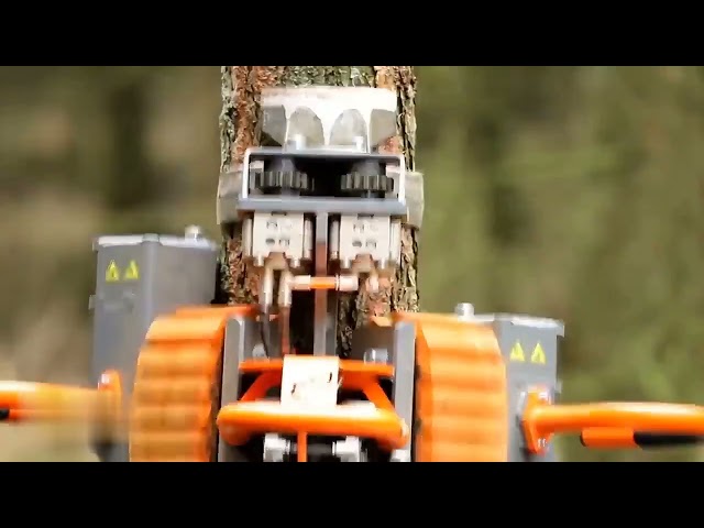 Extreme Fastest Chainsaw Cutting Tree Machines, Biggest Felling Tree Heavy Equipment Machine