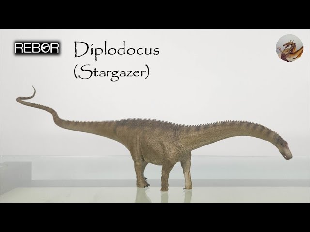 242: Rebor Diplodocus (Stargazer 2023) Review