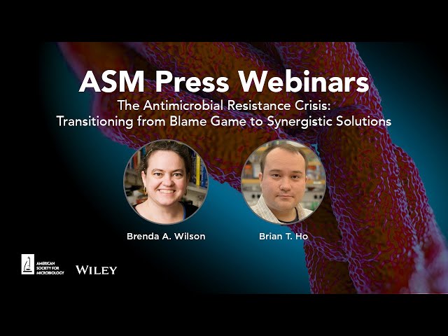 The Antimicrobial Resistance Crisis: Transitioning from Blame Game to Synergistic Solutions