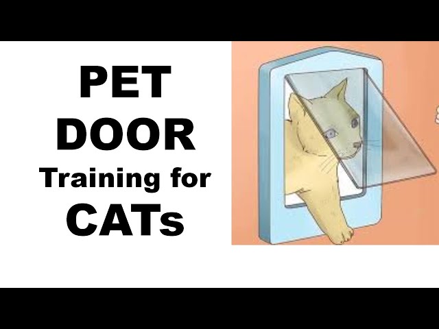 42- CAT DOOR - Installation & Training