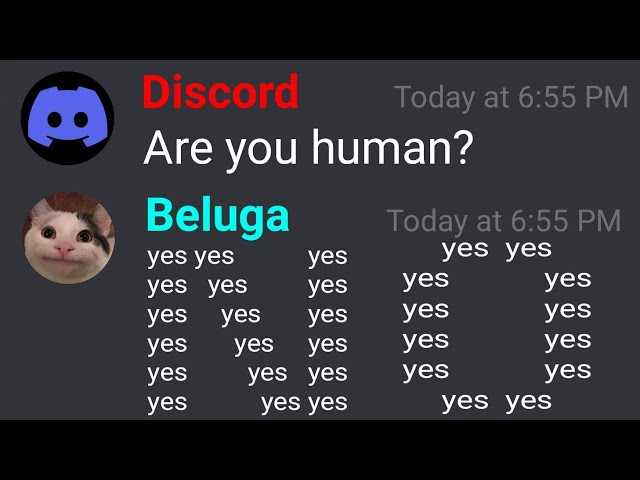 Beluga logging in to Discord...