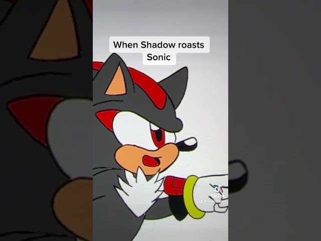 When Shadow roasts Sonic