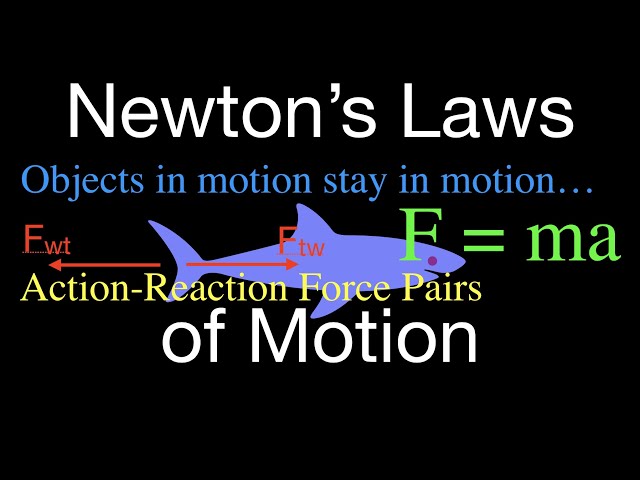 Newton's Three Laws of Motion (Clear and Easy to Follow)