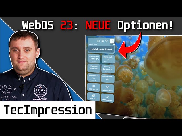LG WebOS 23: Das sind die NEUEN Bild-Optionen und Einstellungen im Überblick! | TecTracks HD