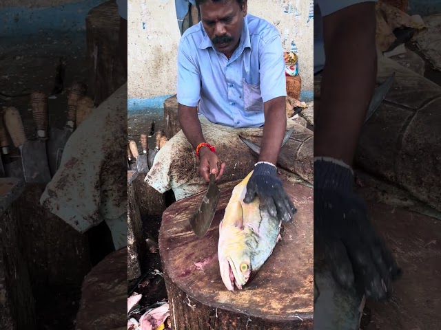 FISH CUTTING VIDEO 🐠🔪 | UK SONS MARINE