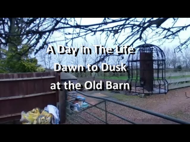Day in the Life  - Dawn to Dusk at the Old Barn