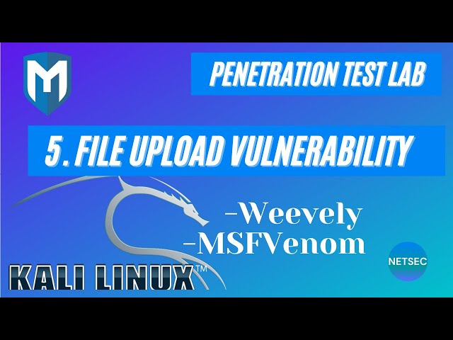 Kali Pen Test Lab - 5. Low Security Basic File Upload Exploitation