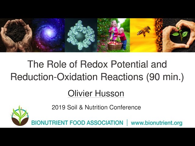 Olivier Husson: Redox Potential and Reduction-Oxidation Reactions | 2019 Soil & Nutrition Conference