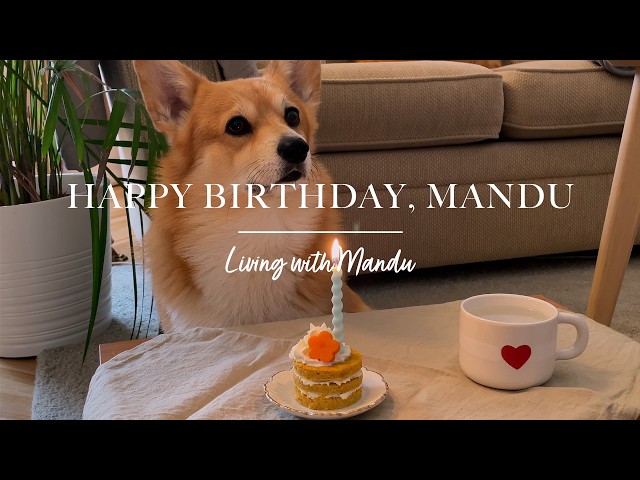 🎂 Celebrating Mandu's birthday on a rainy day | Slow life in Sweden vlog