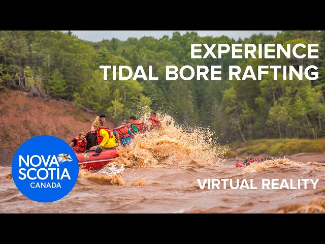 Experience Tidal Bore Rafting | Virtual Reality Video