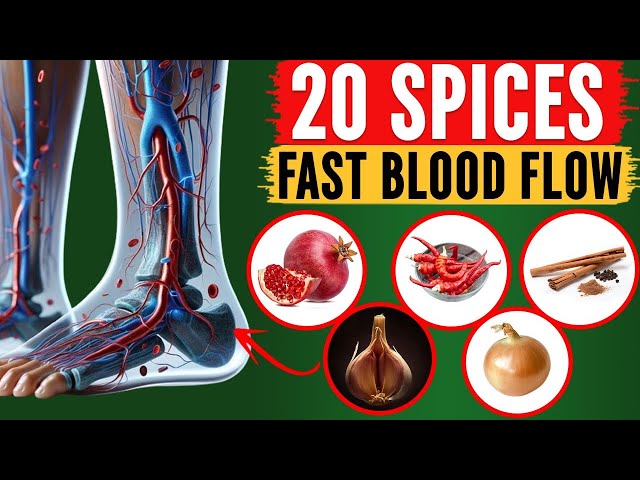 20 Common SPICES That INCREASE Blood Flow FAST! Leg Circulation