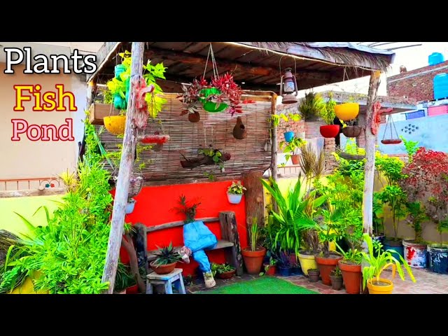 Roof Top | Outdoor | Fish Pond | Plants | Roof Garden | Peace Relax | Music | Iffi Golden Discover
