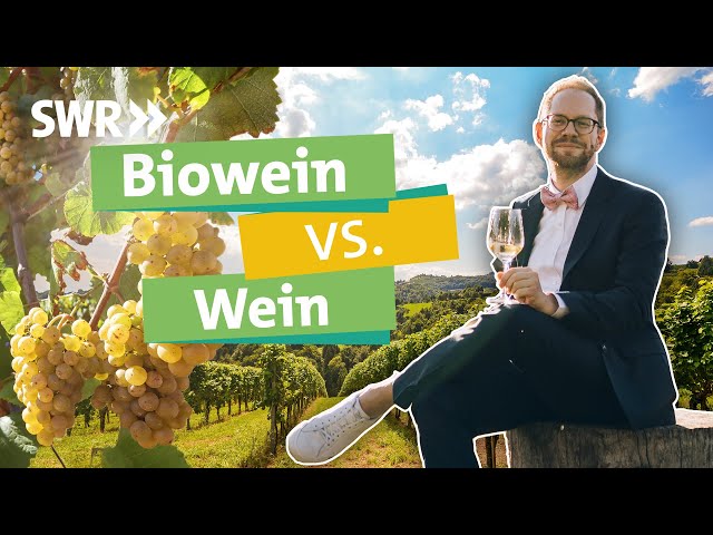 Wein - warum bio nicht immer besser ist & Tetrapacks nachhaltiger als Flaschen sind I Ökochecker SWR