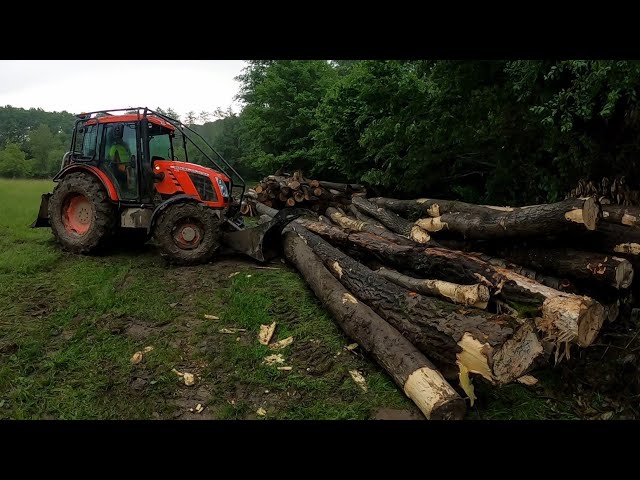 Ťažba dreva v novom poraste a silná búrka ⛈️ na konci dňa, Amles, Stihl 261, Zetor UKT, Práca v lese