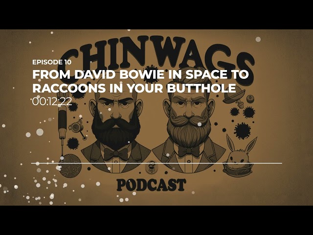 Episode 10 - From David Bowie in Space to Raccoons in Buttholes | Chinwags Podcast
