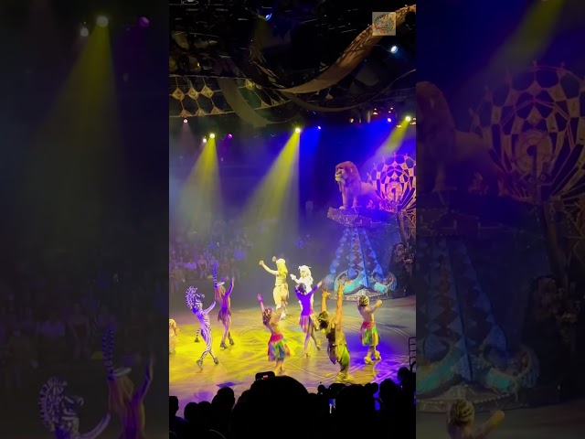 Simba “I just can’t wait to be King” at Festival of the Lion King at Disneyland #disney #kids #simba