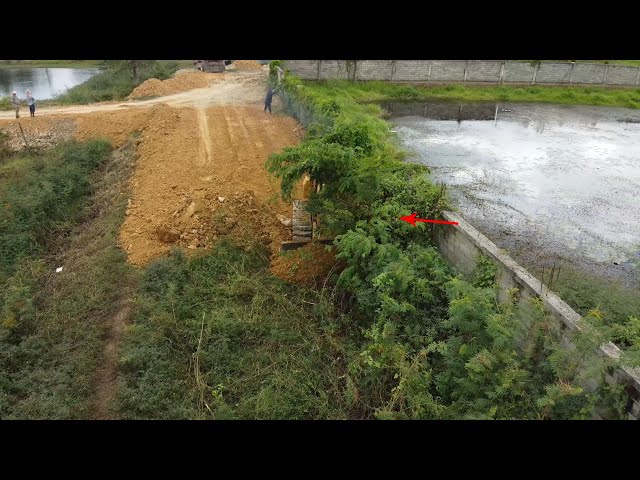 Full Video! Techniques Operator​ Great Teamwork! by Dozer push soil clear land with Heavy Dump truck