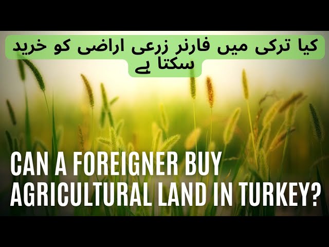 CAN A FOREIGNER BUY AGRICULTURAL LAND IN TURKEY?  #realestate #turkishcitizenship #bizpal #realty
