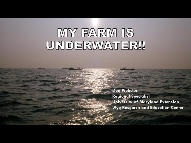 My Farm is Underwater!