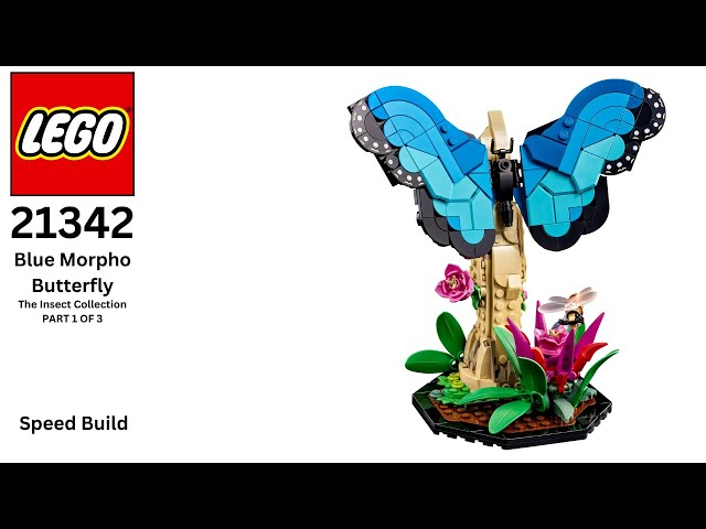 LEGO Blue Morpho Butterfly: The Insect Collection 21342 (PART 1 of 3) - SPEED BUILD