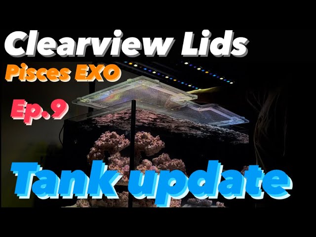 Ep.9 | Pisces EXO lid & Tank Update