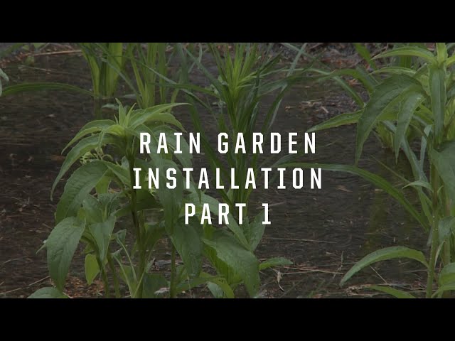 Purdue Extension Rainscaping Education Program: Rain Garden Installation Part 1