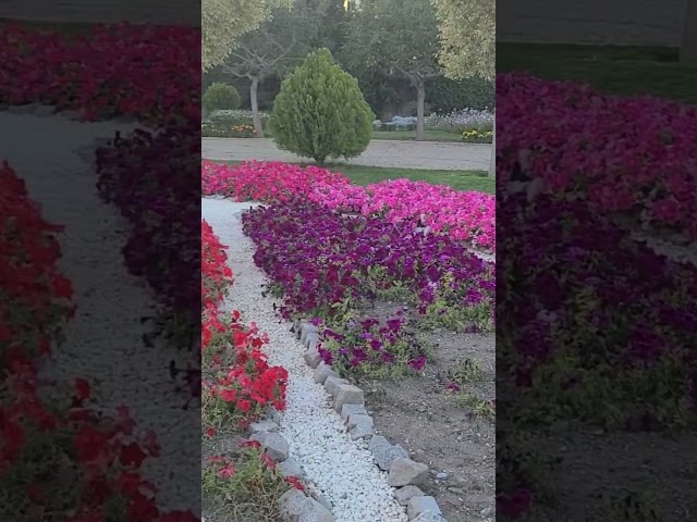 #mashhad #iran #flowersgarden