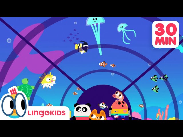 ABC CHANT 🔤🎶+ Baby Bot's Favorite Songs for Kids 🤖|Lingokids
