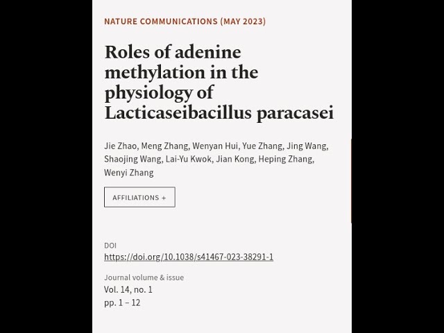 Roles of adenine methylation in the physiology of Lacticaseibacillus paracasei | RTCL.TV