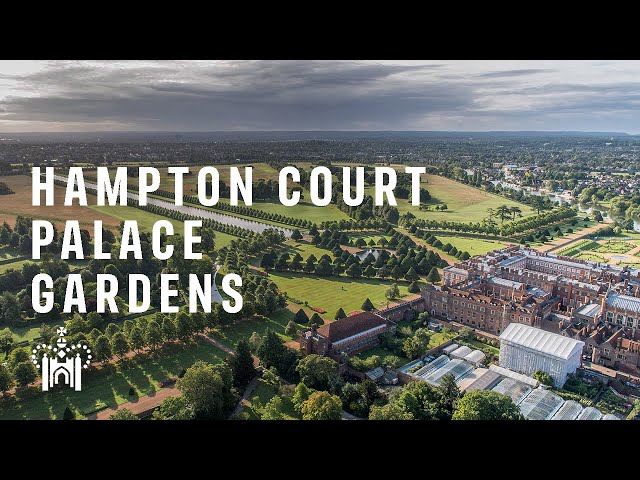 Hampton Court Palace Gardens: A Year in the Life