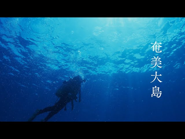 《 360° VR動画 》【Presented by American Express】#1 奄美大島の美しき群青の海
