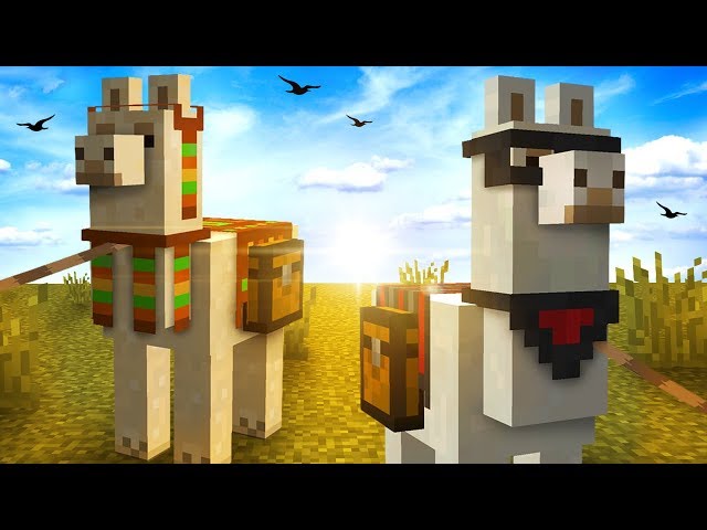Everything You Need To Know About LLAMAS In Minecraft!