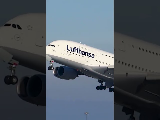 Lufthansa Airbus A380 Takeoff from SFO #SHORTS