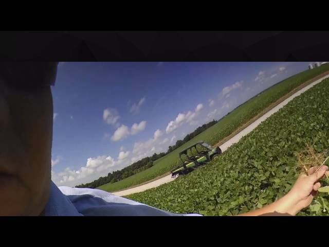 Kentucky Farmer Checking Soybeans 360 Degrees
