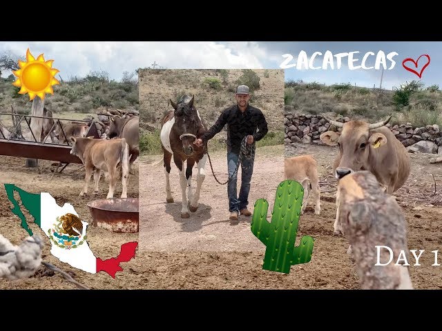 Nos Fuimos a Zacatecas! - 2019 | Jackelyn Vargas