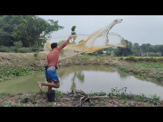 শিখে নিন ঝাঁকি জাল পদ্ধতির চমকপ্রদ মাছ ধরা | Famous Cast net fishing video #fishing #fishing_video