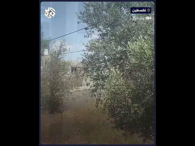 وسط أصوات إطلاق كثيف للنار... تجدد الاشتباكات الضارية مع قوات الاحتلال في حي الجابريات بجنين