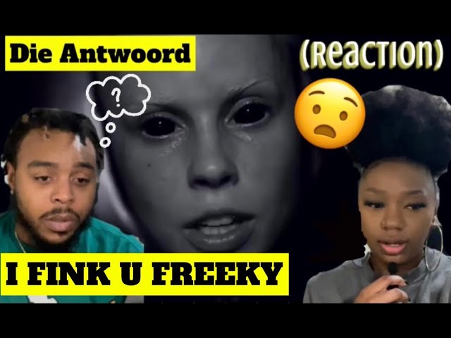 AMERICANS FIRST TIME HEARING SOUTH AFRICAN 'I FINK U FREEKY' by DIE ANTWOORD (Official)