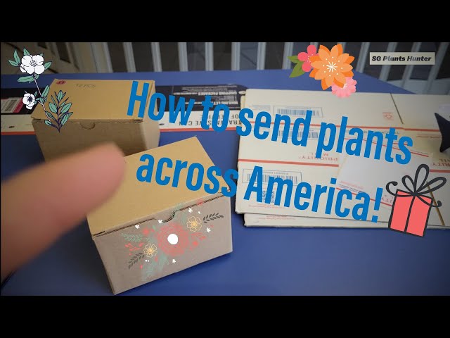 Sending plants across the USA!