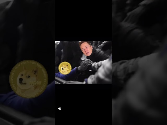 Dogecoin to the moon.