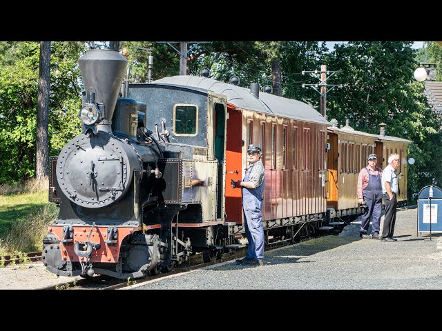 Tertittoget / The narrow gauge steam train | 360 video