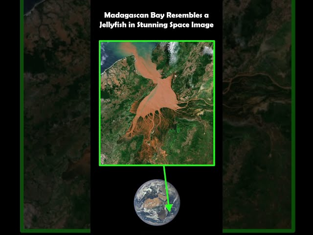 Satellite Image Captures Mahajamba Bay's Striking Jellyfish-like Appearance