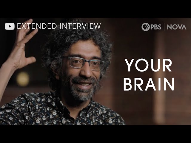"Your Brain" Series Extended Interview with Bobby Kasthuri - NOVA | PBS