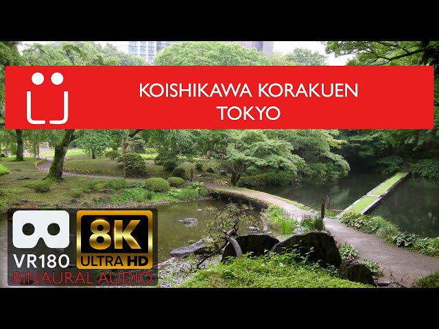 VR 180 (3D, 8K): Koishikawa Korakuen, Tokyo (Binaural)