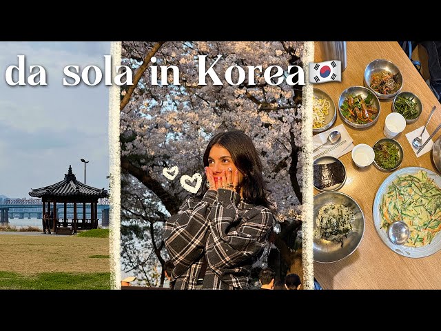 vado da SOLA in Korea 🇰🇷 la mia casa gigante, fioritura dei ciliegi e tanto cibo squisito  🌸🍜💜