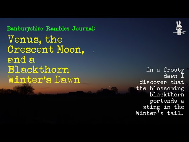 ‘Venus, the Crescent Moon, and a Blackthorn Winter’s Dawn’ – Banburyshire Rambles Photo-Journal
