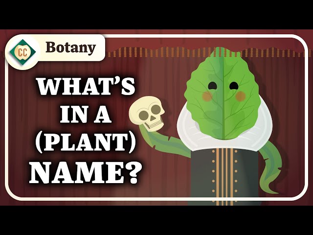 How Do We Categorize Plants?: Crash Course Botany #7