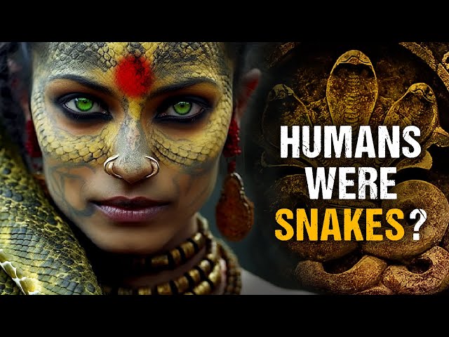 Hinduism Explains That Humans Evolved from Snakes - Mystery of Nagas