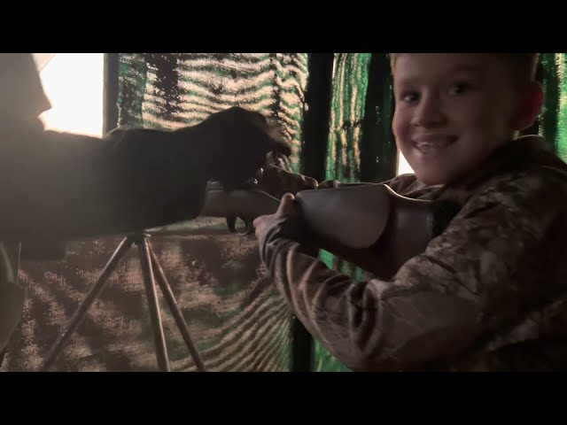 Namibia Warthog Hunt